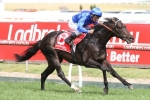 Bow Creek onto Australian Cup after Peter Young Stakes win