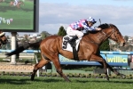 2015 Naturalism Stakes Day Scratchings & Track Report