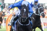 2017 Ladbrokes Cox Plate Calls for Ribchester
