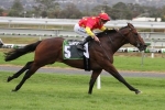 Super One Too Good in DC McKay Stakes
