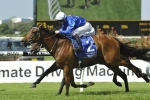 Neville Sellwood Stakes winner It’s Somewhat to Queen Elizabeth Stakes