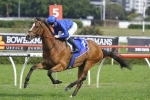 Hartnell a Class Above in Hill Stakes