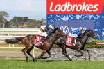 Official Melbourne Cup Final Field 2026 Confirmed: All 24 Horses, Jockeys and Trainers to Run in Flemington Race 7
