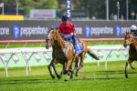 2026 Light Fingers Stakes Field & Betting: Apocalyptic Resumes as Odds-On Favourite