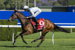 Spring Champion Stakes 2026 Results: Unbeaten Proxima Dea Powers to Glory and VRC Oaks Favouritism