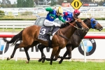 All Too Hard Can Win 2012 Cox Plate at Three