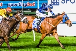 Manikato Stakes 2012 Tips & Selections