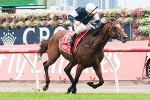 2012 Melbourne Cup Dividends – Results and Payouts
