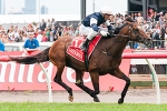 Melbourne Cup 2012 Results – Green Moon Wins