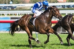 Straight to Thousand Guineas 2012 for Lady Of Harrods
