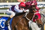 2012 Cox Plate Tips & Exotic Betting Selections