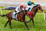 Cox Plate 2012 Results – Ocean Park Beats All Too Hard