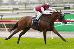 Sandown Stakes 2012 – Nominations Released