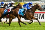 Shahwardi 2012 Melbourne Cup Bound After Herbert Power Stakes Win