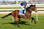 Muir is the 2011 Adelaide Cup Winner – Morphettville Results