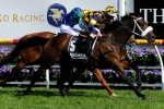 Rosehill Guineas 2011 Form Guide & Betting Preview