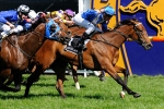 Coolmore Classic Day 2011 – More Joyous Leads Canterbury Stakes Nominations