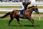 Cox Plate 2011 Here Comes Whobegotyou