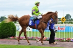 Anevay Kicks off Lightning Stakes Day 2011 with Talindert Stakes Win