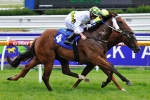 Lightning Stakes Day Race 1 – 2011 Talindert Stakes Field & Betting Update