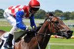 2011 CS Hayes Stakes Betting Markets Released