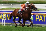 Star to Dust Off in Bletchingly Stakes