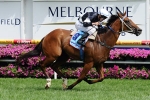 2011 Kevin Hayes Stakes Won by Miss Gai Flyer – CF Orr Stakes Day Race 6 Results