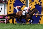 Rain Shadow Wins Caulfield Race 1 – CF Orr Stakes Day Results