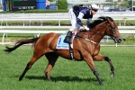 2011 Australian Cup First Declarations Leave 35 in Contention