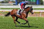 Pinker Pinker to seek Group 1 Glory at Sydney Autumn Carnival