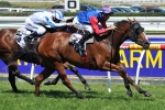 Pinker Pinker to Contest Storm Queen Stakes on Golden Slipper Day 2011
