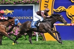 Descarado Wins Caulfield Stakes 2011 – Race 5 Results
