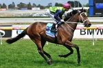 2012 Rosehill Guineas Tips, Predictions & Odds Update