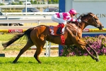 Hi Belle Tops Sunline Stakes Odds 2012