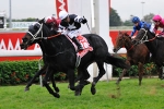 Underwood Stakes 2012 Odds Update – Manighar Eases
