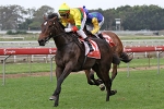 Hussler Looking to Continue Lucky Run in Gold Edition Plate 2012