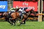 2011 Rosehill Guineas Odds & Betting Lead by Jimmy Choux