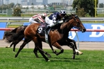 The Mittys Vanity Odds – 2011 Lightning Stakes Day Betting