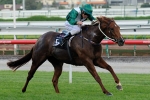 Boss Doubly Assured of Goodwood Ride