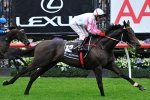 Maluckyday Opens as Favourite in 2011 The BMW Odds