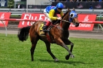 Stirling Grove Scratched from Lightning Stakes Field 2011
