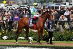 Brazilian Pulse Scratched from Ajax Stakes in Favour of Rosehill Race 3