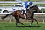Coolmore Classic 2011 Rosehill Wet Track Betting Tips & Form