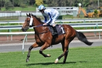 Rosehill Guineas Day Race 2 Update – 2011 Pago Pago Stakes Late Mail Tips