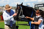 Moody Confirms Black Caviar Will Race in TJ Smith Stakes at Randwick