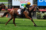 Panipique Wins MSS Security Stakes on way to 2011 Robert Sangster