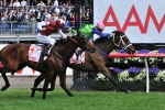 2012 Alister Clark Stakes Betting Roughie Gets Nikolic’s Tick