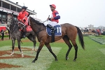 Eclipse Stakes 2012 Tips & Preview