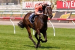 Black Caviar’s next race will be in Adelaide
