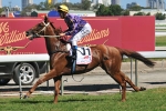 2011 Liverpool City Cup Tips & Odds – Chipping Norton Stakes Day Betting
